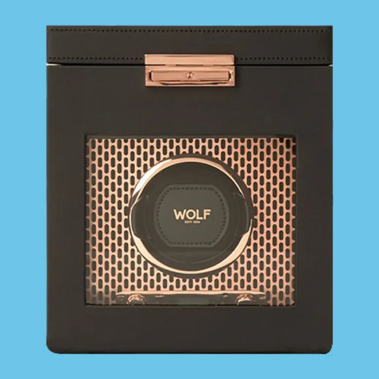 Do I Need a Watch Winder?