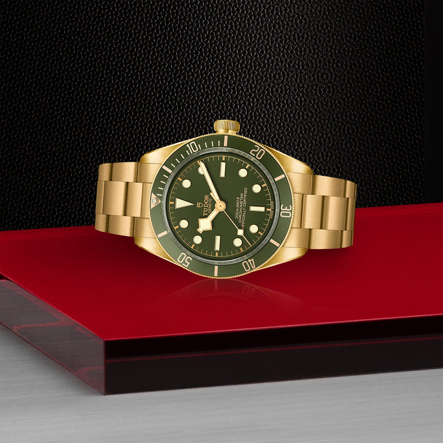 TUDOR Black Bay 58 18k 39mm - M79018V-0006 at Sylvan’s Jewelers