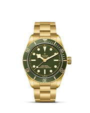 TUDOR Black Bay 58 18k 39mm - M79018V-0006 at Sylvan’s Jewelers