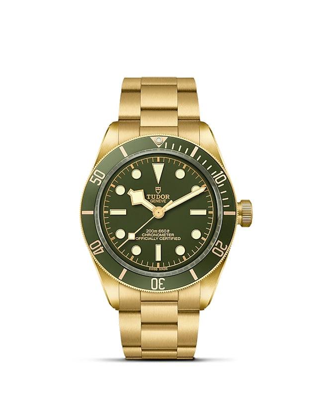 TUDOR Black Bay 58 18k 39mm - M79018V-0006 at Sylvan’s Jewelers