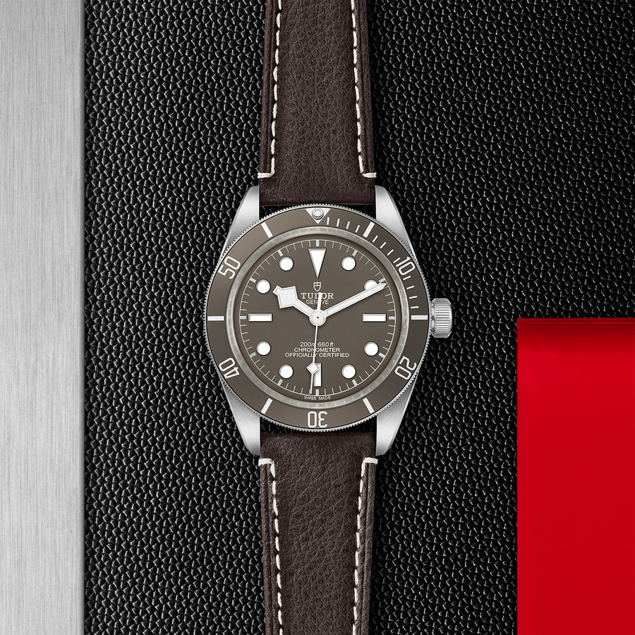 TUDOR Black Bay 58 925 39mm - M79010SG-0001 at Sylvan’s Jewelers