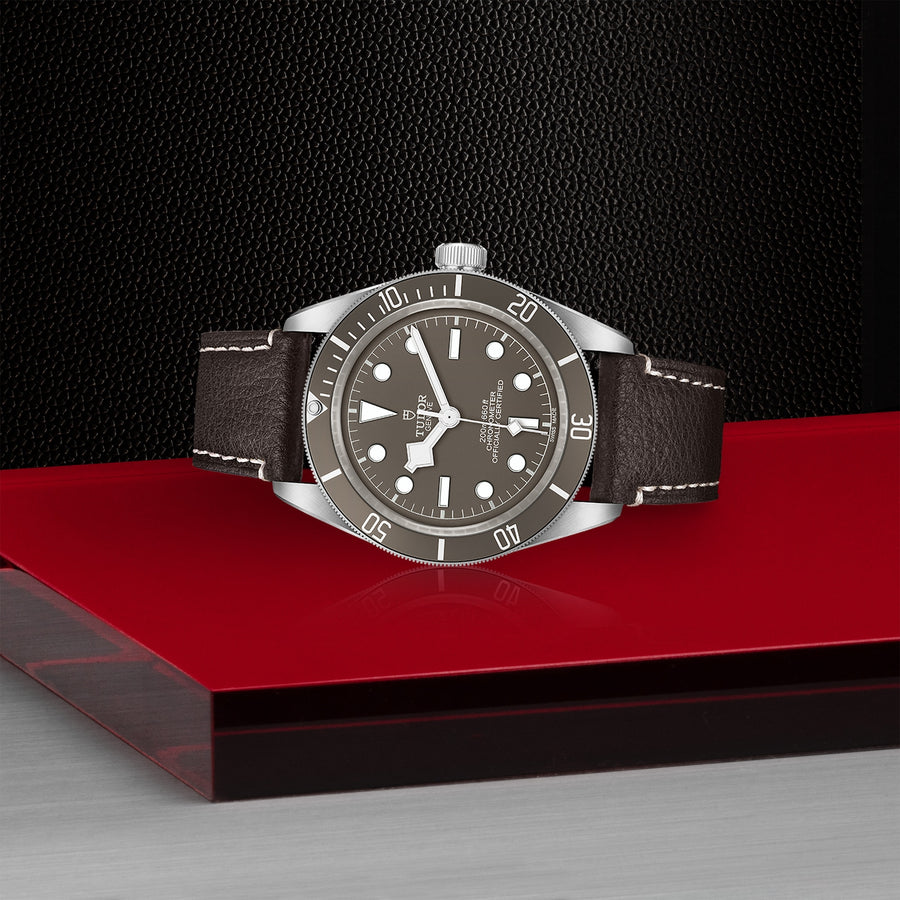 TUDOR Black Bay 58 925 39mm - M79010SG-0001 at Sylvan’s Jewelers