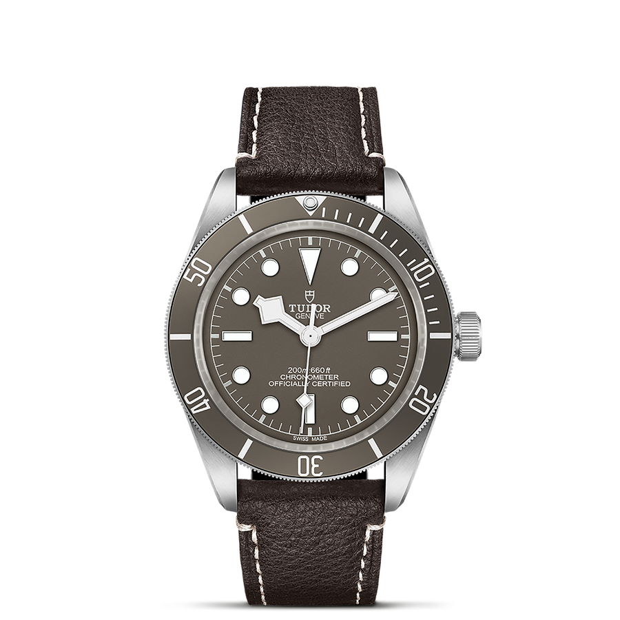 TUDOR Black Bay 58 925 39mm - M79010SG-0001 at Sylvan’s Jewelers