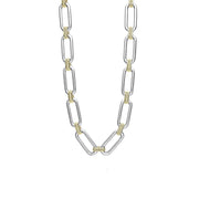 Two Tone Link Necklace