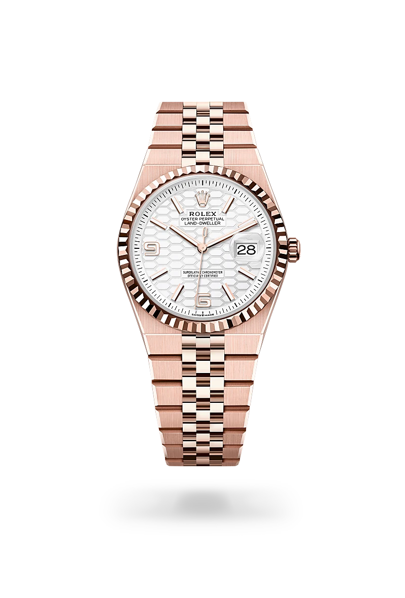 Rolex Land-Dweller in 18 kt Everose gold, M127235-0001 - Sylvans