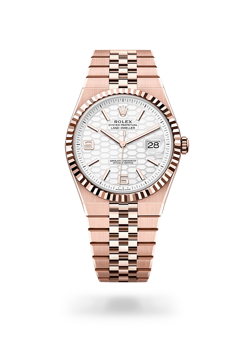 rolex Land-Dweller in 18 kt Everose gold, M127335-0001 - Sylvan's Jewelers