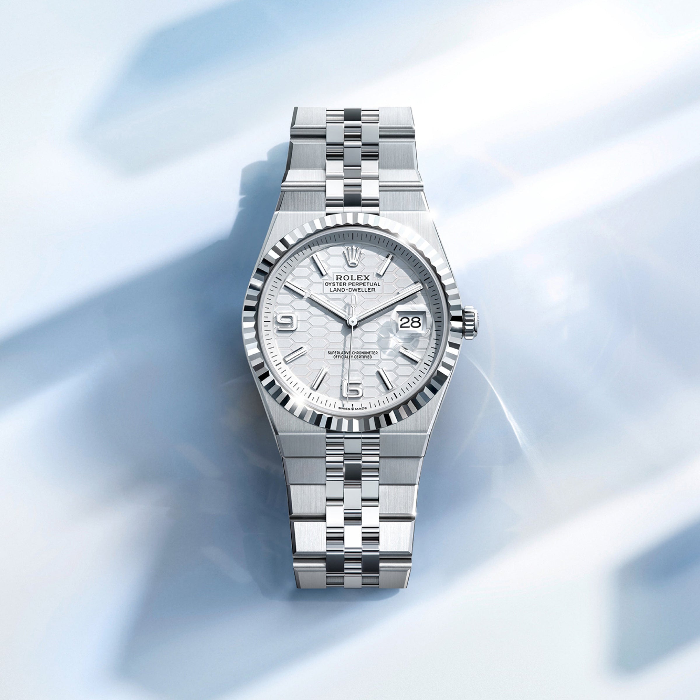 Rolex Land-Dweller in 18 kt Everose gold, M127385TBR-0003 - Sylvan's Jewelers