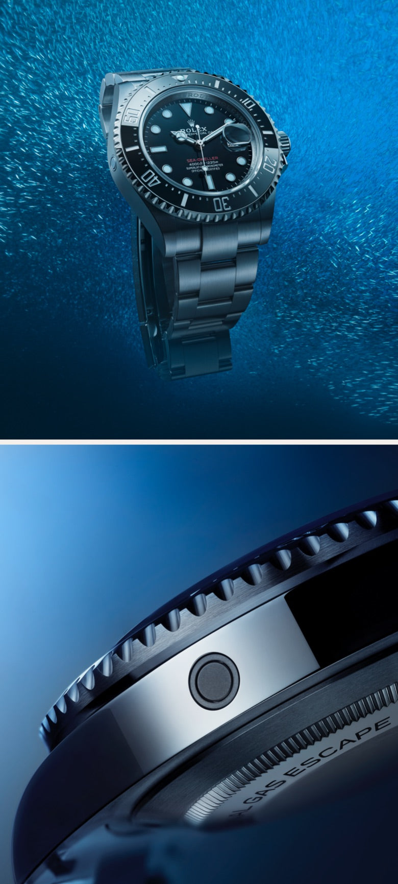 Rolex in Columbia - Sylvan's Jewelers
