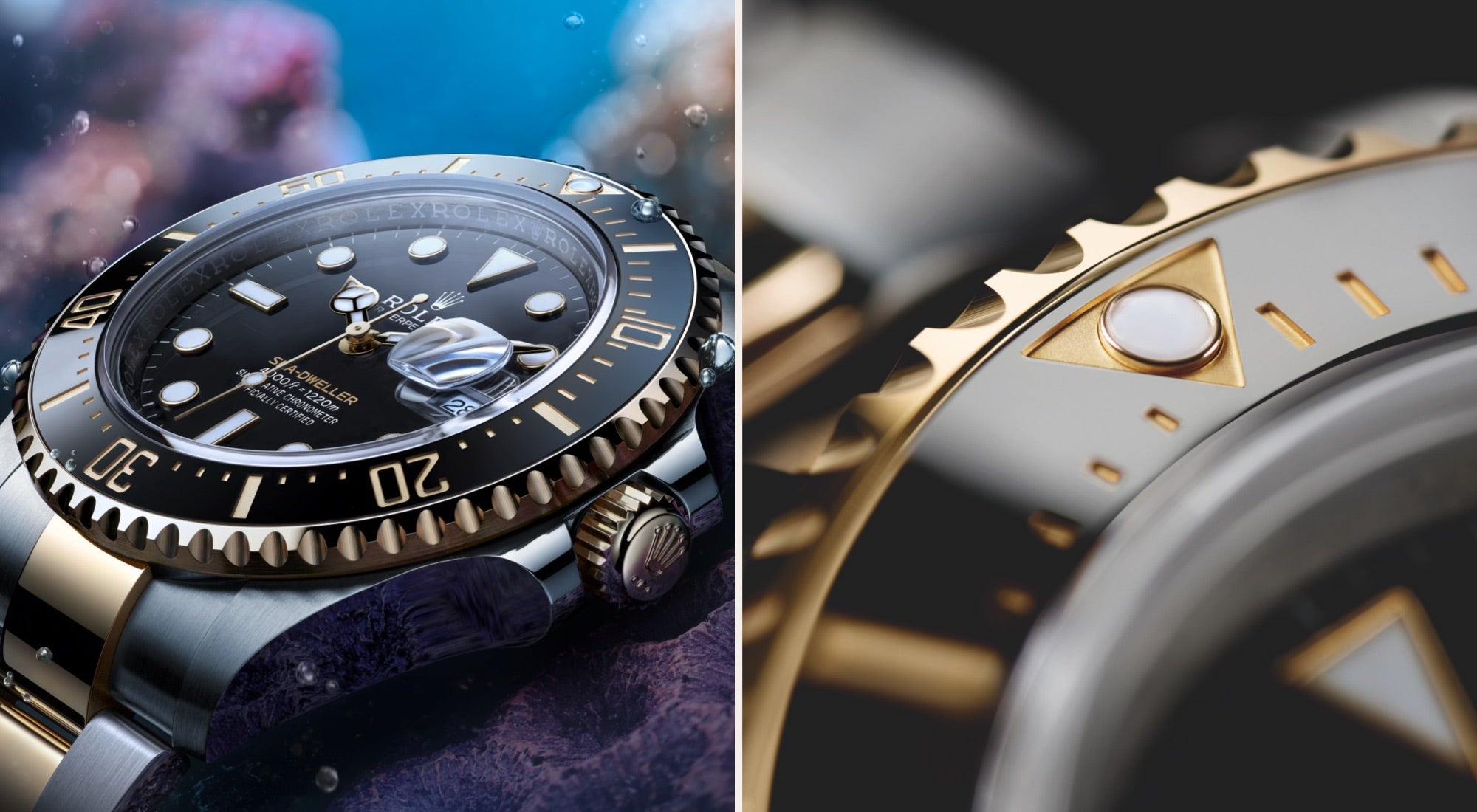 Rolex in Columbia - Sylvan's Jewelers
