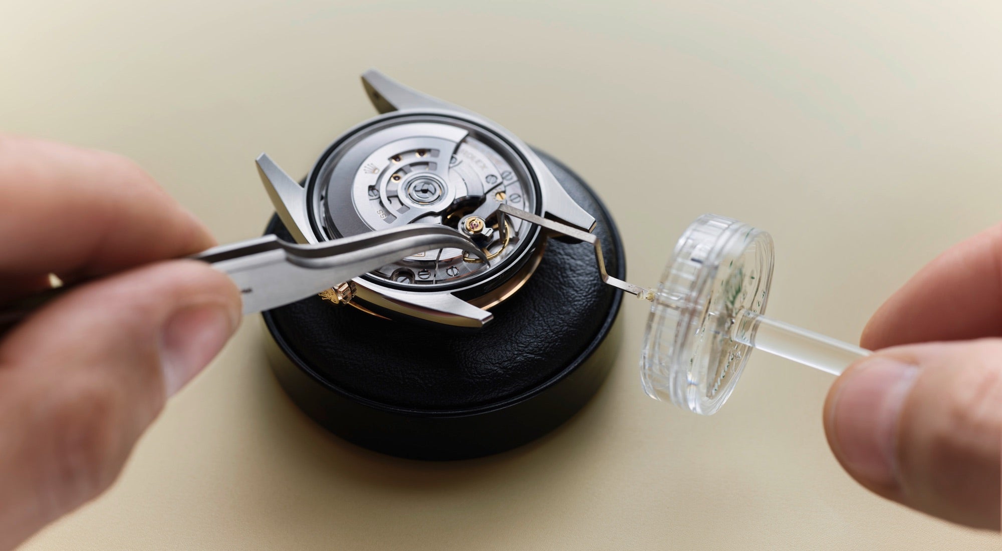 Official Rolex jeweler in Columbia - Sylvan's Jewelers