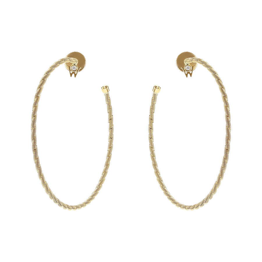 Brilliance of the Sun Hoop Earrings