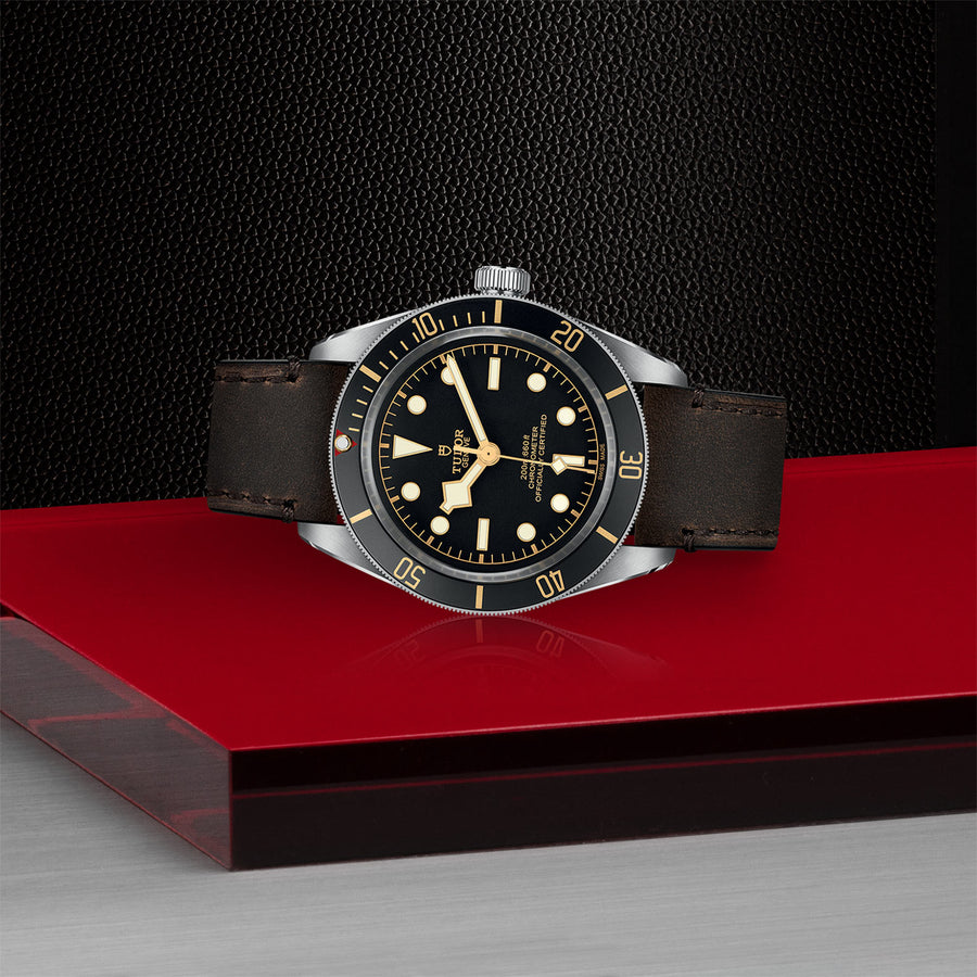 TUDOR Black Bay 58 39mm - M79030N-0002 at Sylvan’s Jewelers
