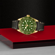 TUDOR Black Bay 58 18k 39mm - M79018V-0001 at Sylvan’s Jewelers