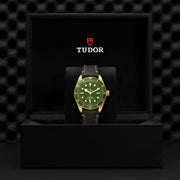 TUDOR Black Bay 58 18k 39mm - M79018V-0001 at Sylvan’s Jewelers