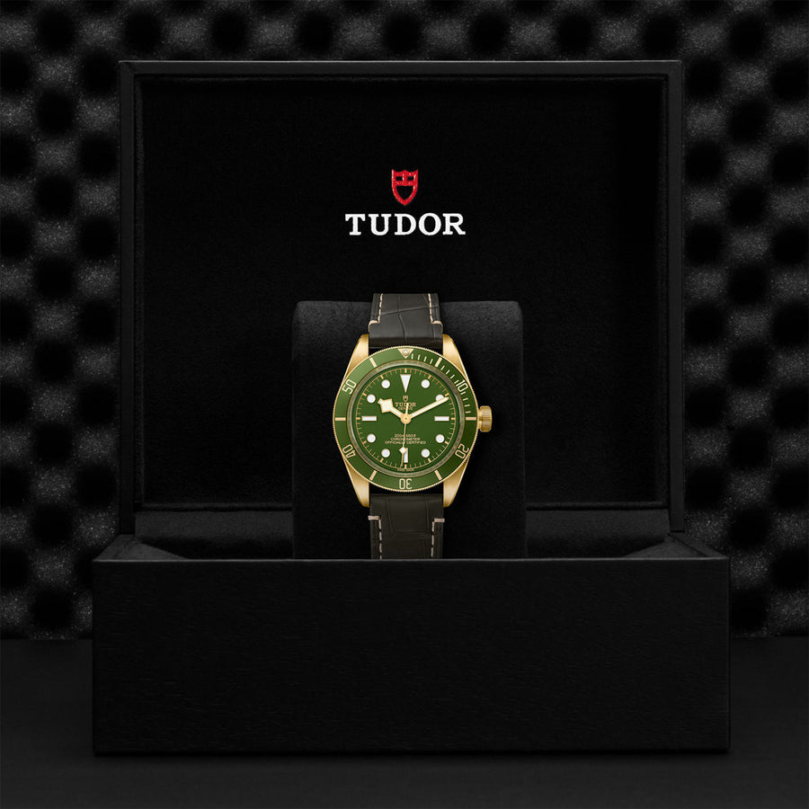 TUDOR Black Bay 58 18k 39mm - M79018V-0001 at Sylvan’s Jewelers