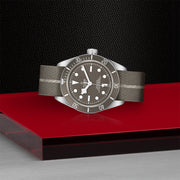 TUDOR Black Bay 58 925 39mm - M79010SG-0002 at Sylvan’s Jewelers