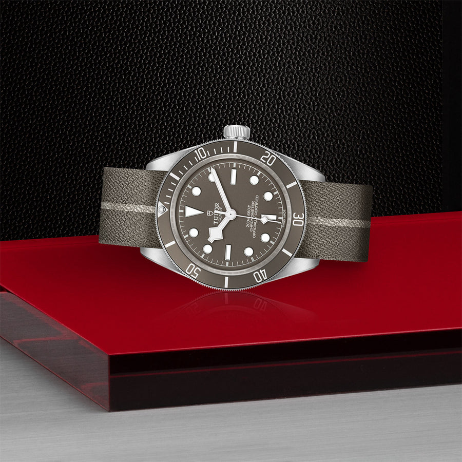 TUDOR Black Bay 58 925 39mm - M79010SG-0002 at Sylvan’s Jewelers