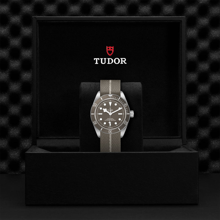 TUDOR Black Bay 58 925 39mm - M79010SG-0002 at Sylvan’s Jewelers