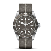 TUDOR Black Bay 58 925 39mm - M79010SG-0002 at Sylvan’s Jewelers