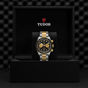 TUDOR Black Bay Chrono S&G 41mm - M79363N-0001 at Sylvan’s Jewelers