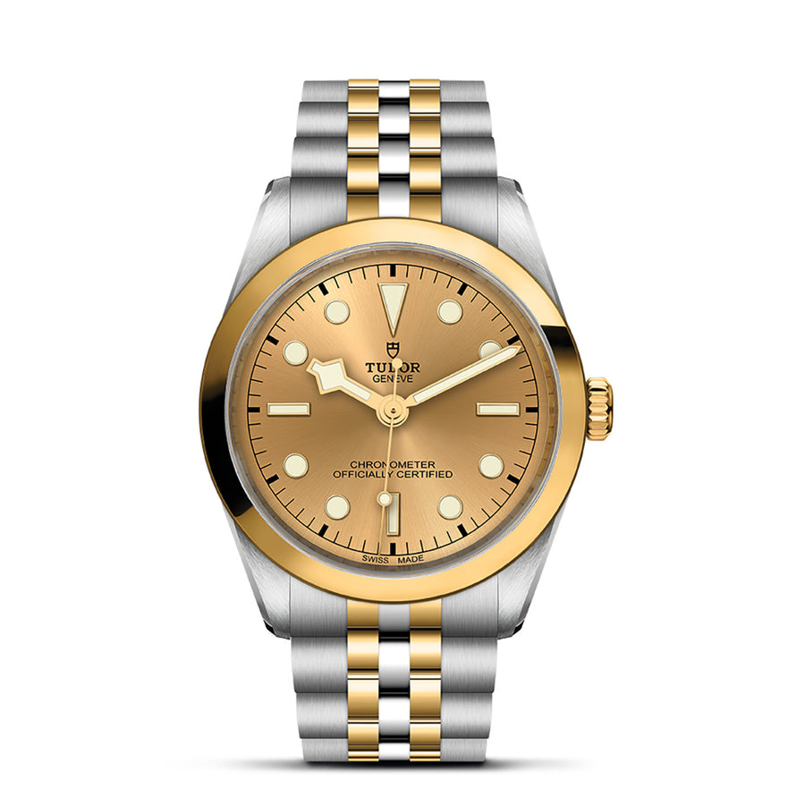 TUDOR Black Bay One 36 S&G 36mm - M79643-0005 at Sylvan’s Jewelers